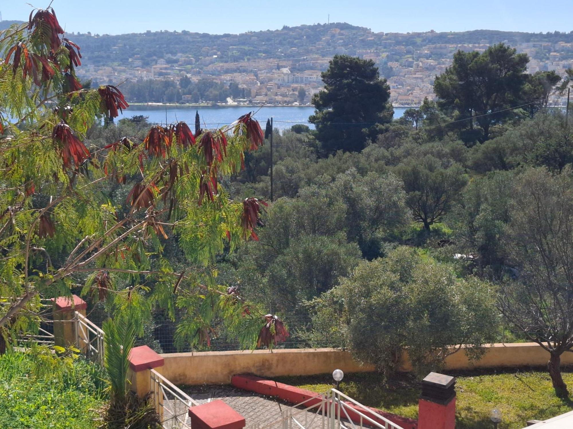 Acqui * Argostoli (Kefalonia)