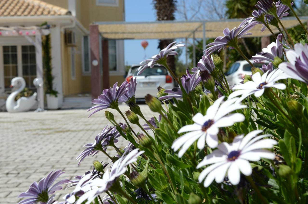 Apartment Acqui *
